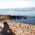 Ocean/Coastal Protection