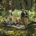 Open Space & Parks
